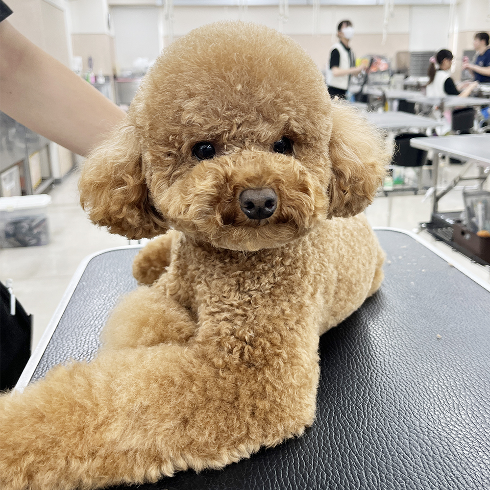 ２年生が担当しているかわいいお客様♪